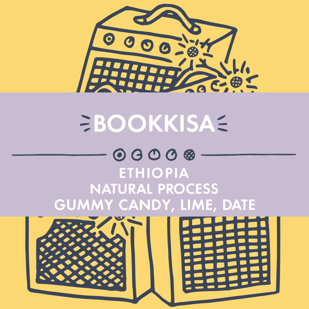Natural Process Bookkisa