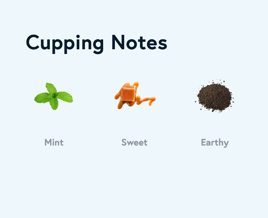 Morrocan Mint Green Tea Blend