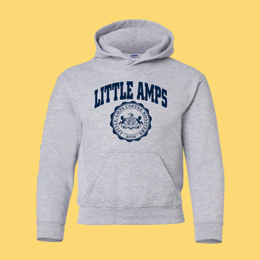 YOUTH Little Amps University Hoodie
