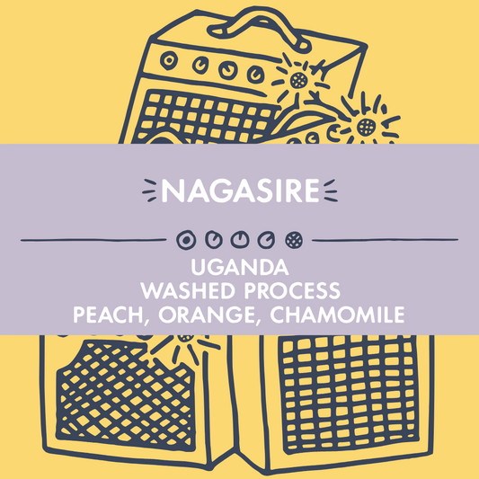 Nagasire