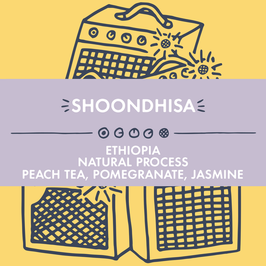 Shoondhisa