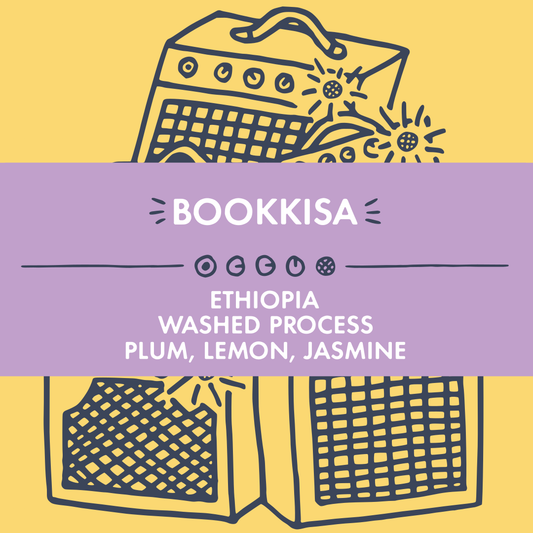Washed Process Bookkisa