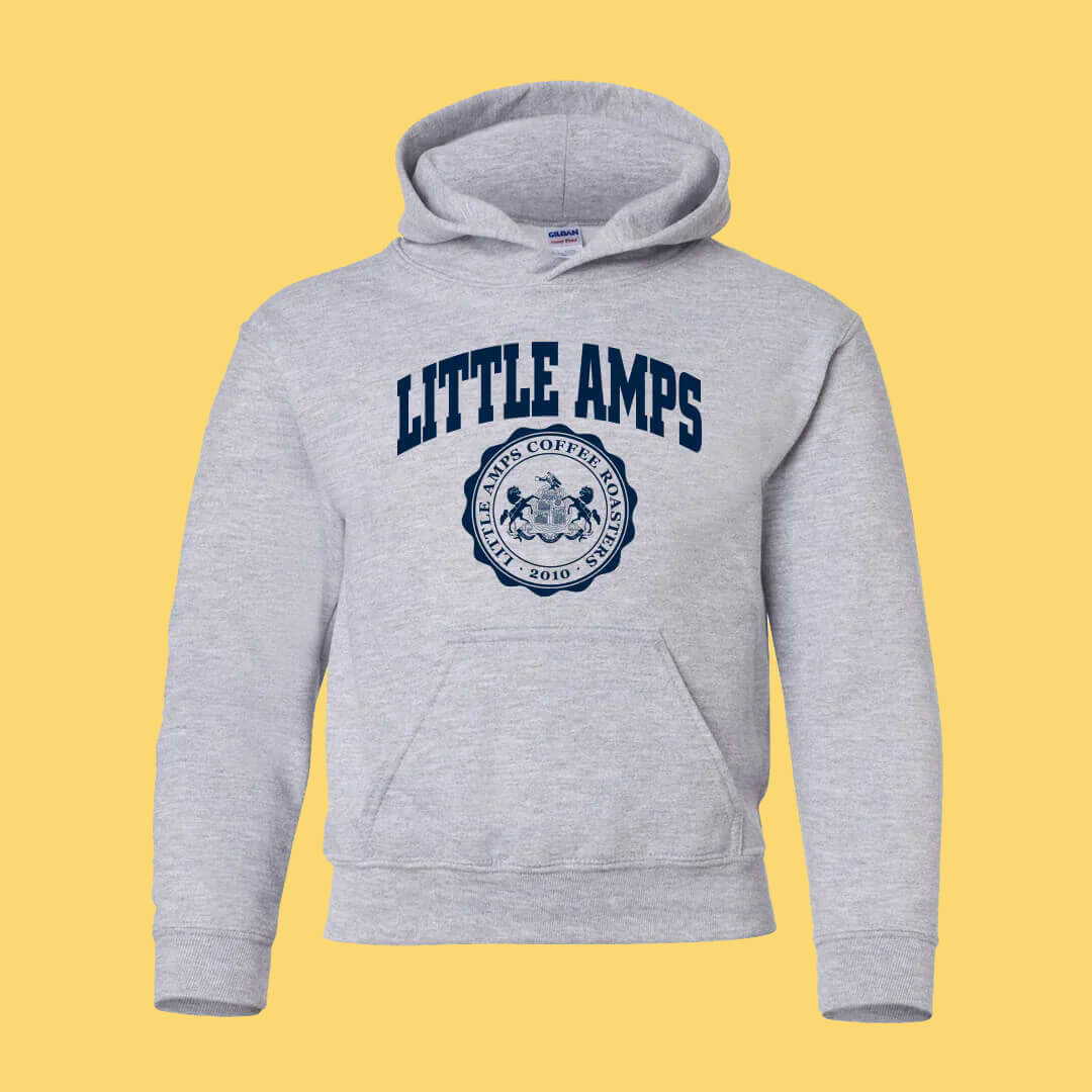 YOUTH Little Amps University Hoodie